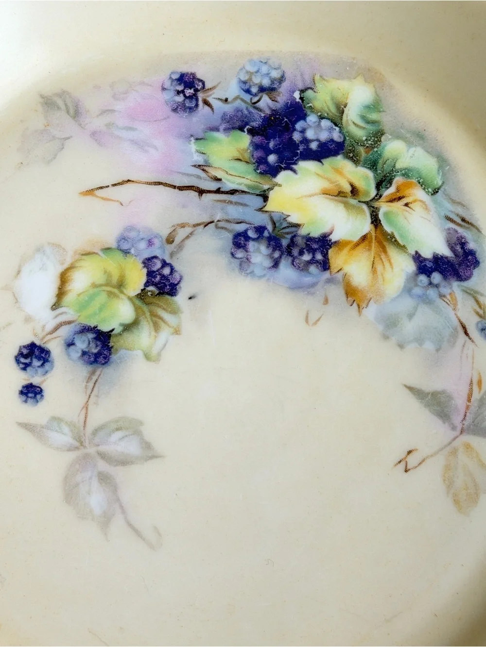 Vintage Royal Rochester Hand-Painted Baking Plate